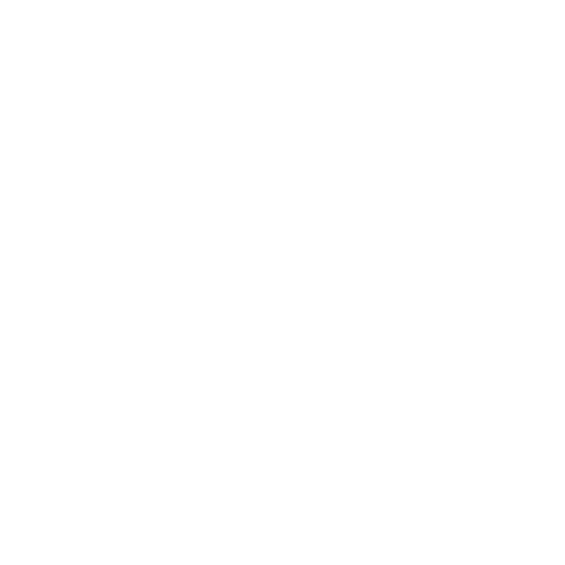 Speed Icon