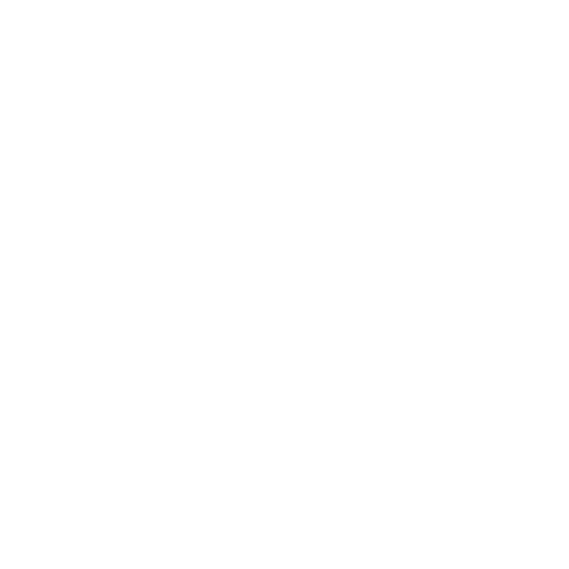 Skill Icon